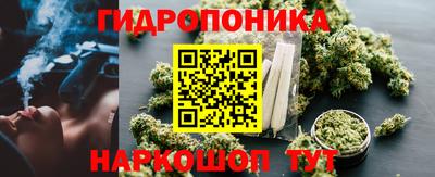 прущие грибы Севастополь