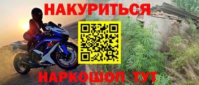 прущие грибы Севастополь